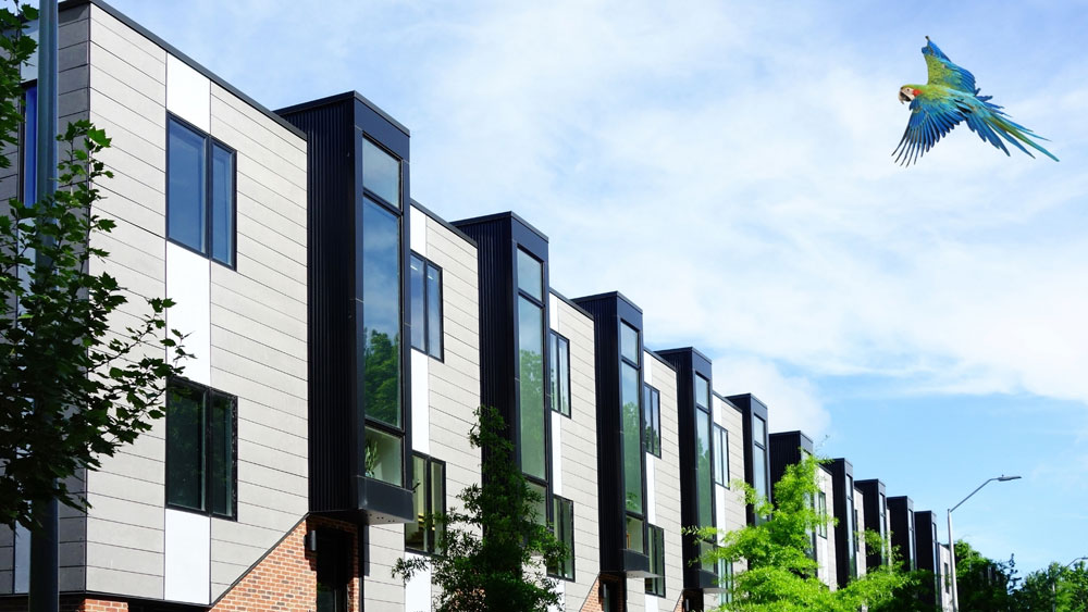 Make the BEST informed Condo Purchase today with our tools and guide