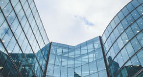 Condo Parrot News Article